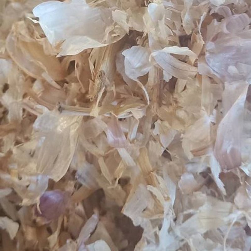 供应喂牛羊兔植物性饲料大蒜皮压块降低养殖成本白色大蒜内皮