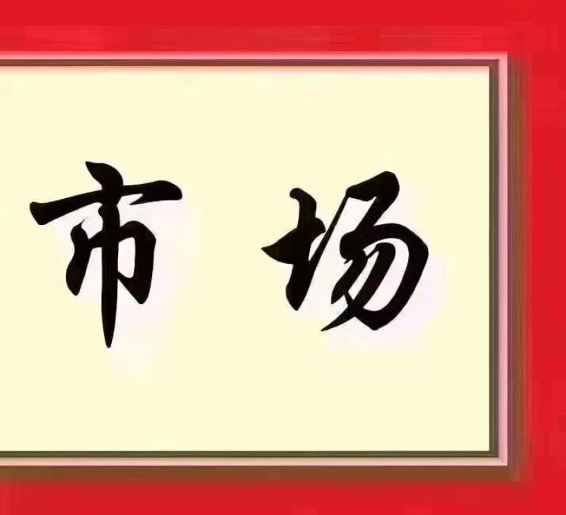 漳浦红萝卜农历12月份上市欢迎各位老板来预订…