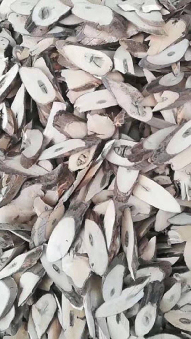 南板蓝根【包邮】三斤起发货可批量可零售量大从优