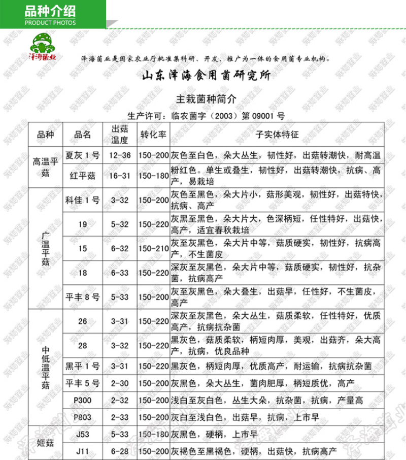 食用菌菌种三级栽培种蘑菇厂家直销正品平菇