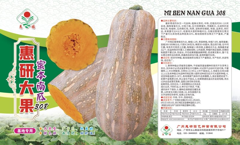 蜜本南瓜种子高纯度95%，高品质，高产量
