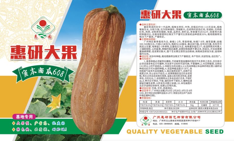 蜜本南瓜种子高纯度95%，高品质，高产量