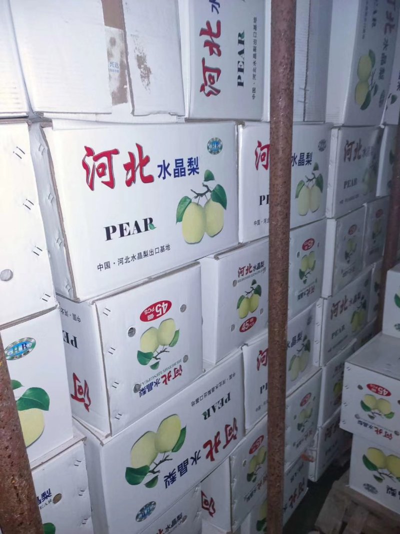 赵县雪花梨质量好，价格合理！