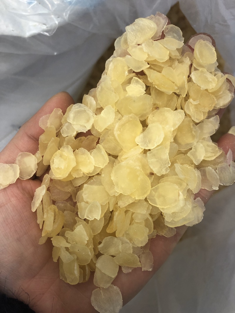 皂角米，单夹黄片，价格优势，各种规格都有