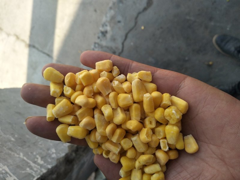 玉米粒甜玉米粒速冻甜玉米粒大量批发厂家直供