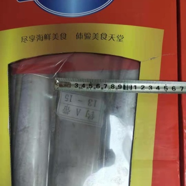 带鱼