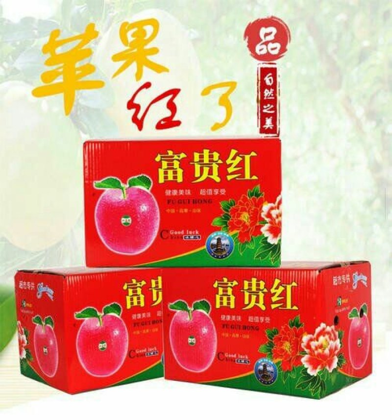 陕西省.渭南市.大荔县各种时令水果（代发、代办）
