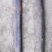皂角