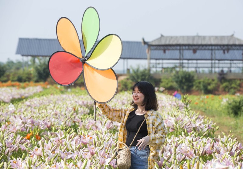 结合环鄱阳湖生态旅游，鄱阳湖畔万亩土地招商或合作