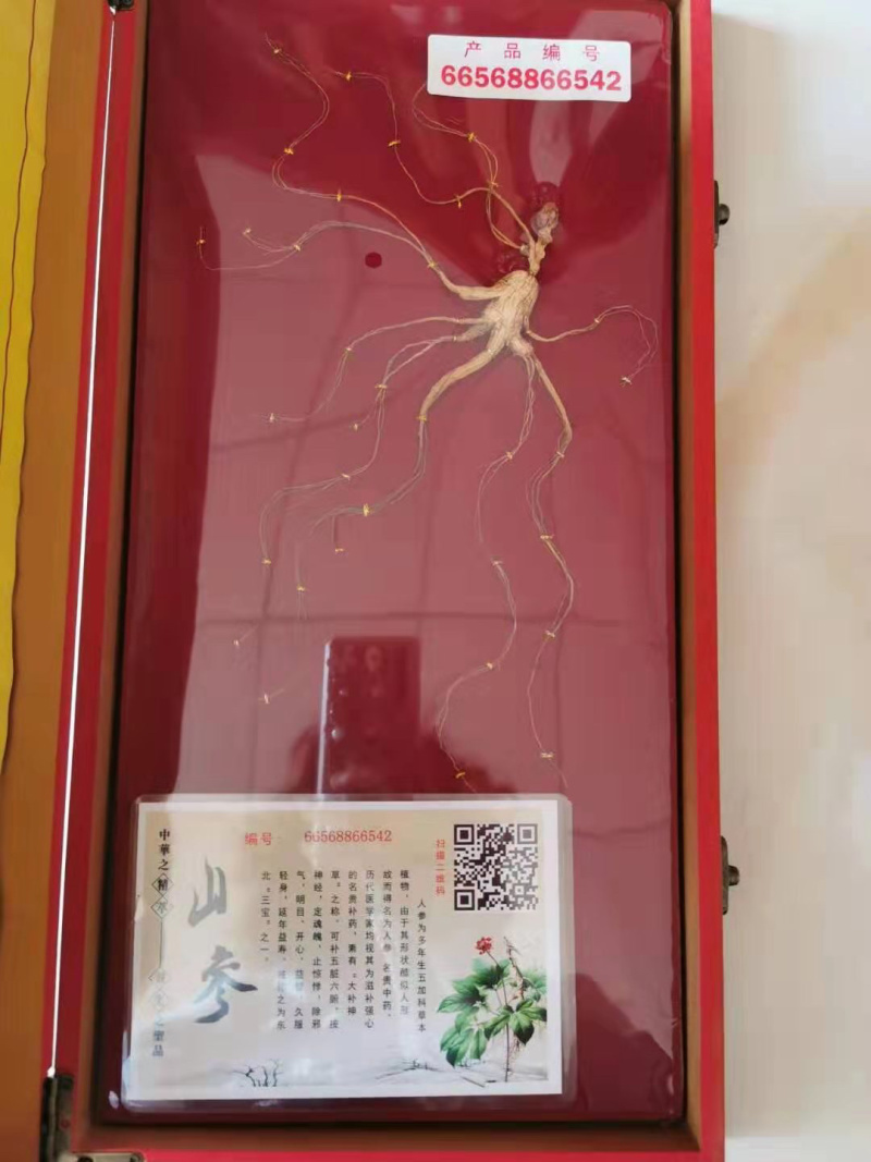 人参礼盒东北吉林长白山煲汤泡酒送礼