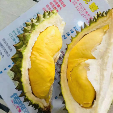 【招代理】泰国青皮榴莲