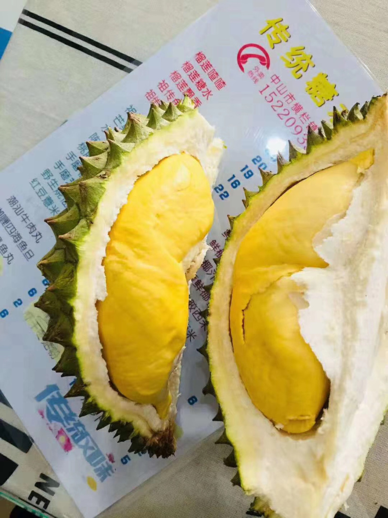 【招代理】泰国青皮榴莲