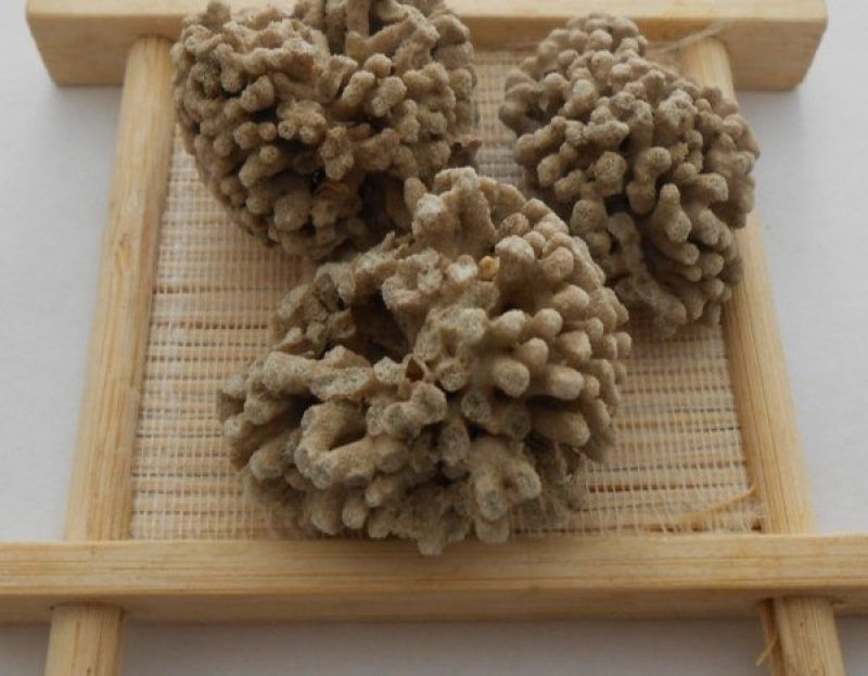 海藻石可打粉专营中药批发品质保证