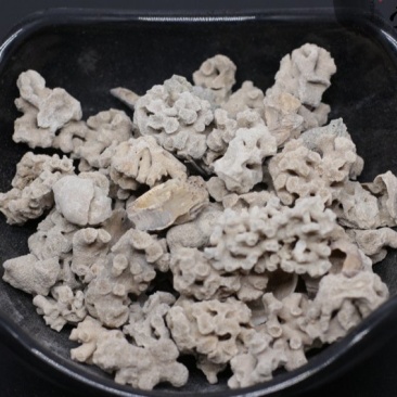 海藻石可打粉专营中药批发品质保证