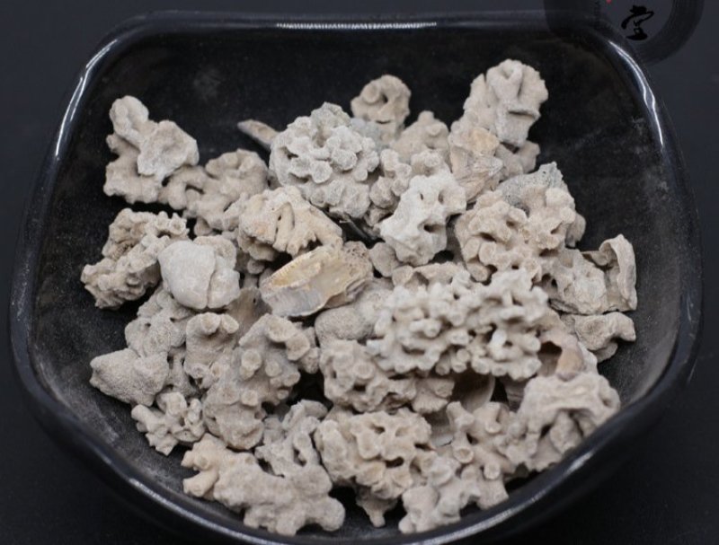 海藻石可打粉专营中药批发品质保证