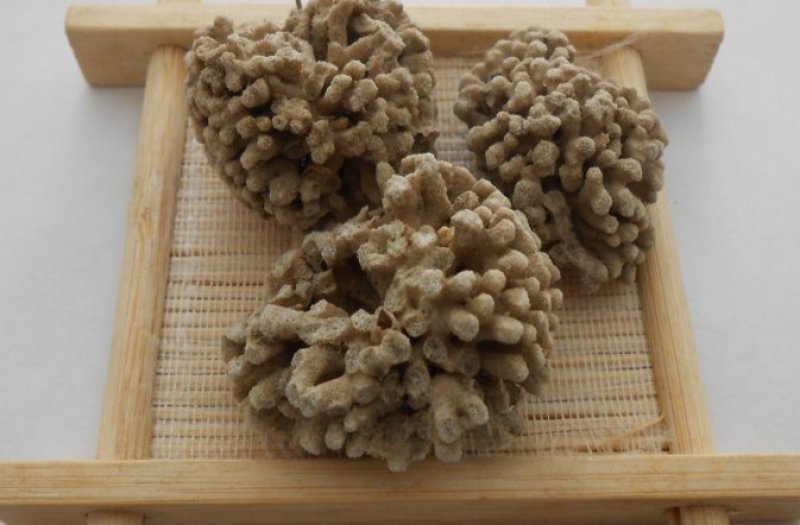 海藻石可打粉专营中药批发品质保证