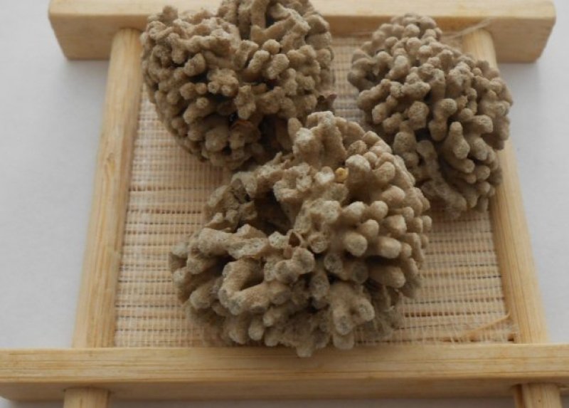 海藻石可打粉专营中药批发品质保证