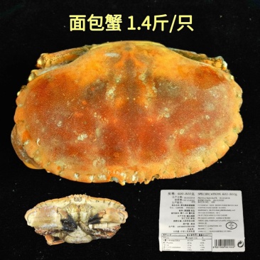 面包蟹
