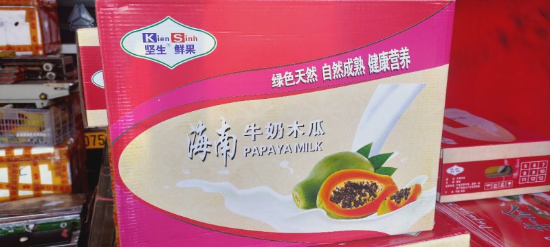 海南红心木瓜，牛奶木瓜，树上熟红土地栽培
