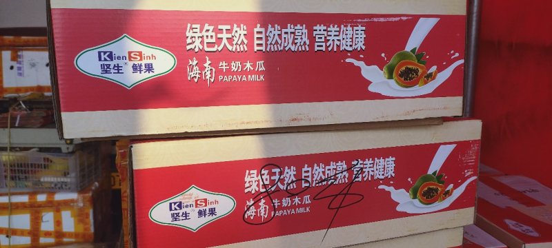 海南红心木瓜，牛奶木瓜，树上熟红土地栽培
