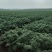 胡萝卜万亩基地直销货源充足全国供货欢迎老板咨询