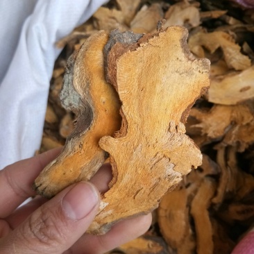 虎杖湖南无硫熏选货货源充足一公斤起发货