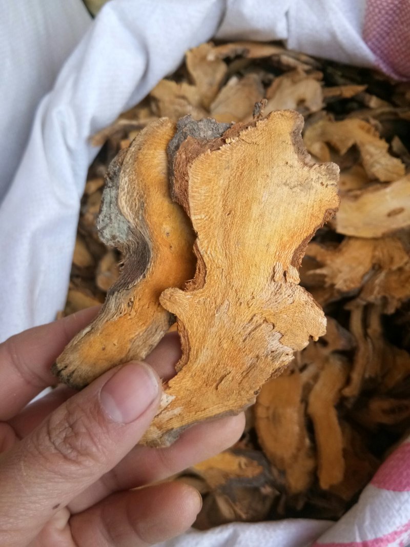 虎杖湖南无硫熏选货货源充足一公斤起发货