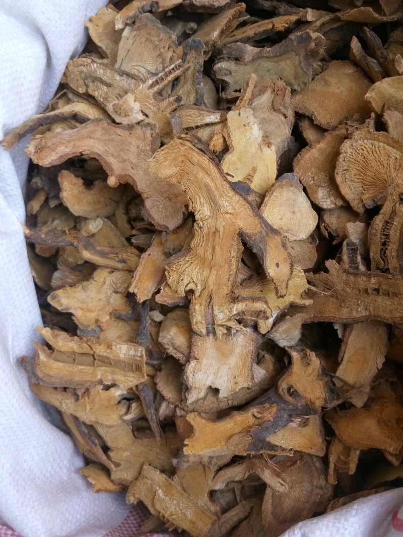 虎杖湖南无硫熏选货货源充足一公斤起发货