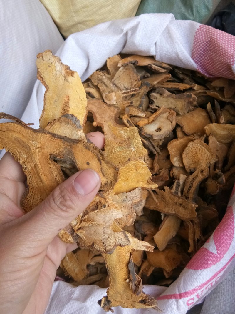 虎杖湖南无硫熏选货货源充足一公斤起发货
