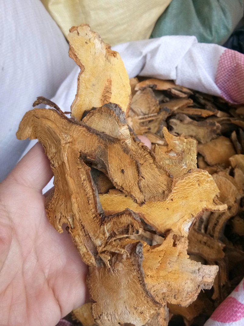 虎杖湖南无硫熏选货货源充足一公斤起发货