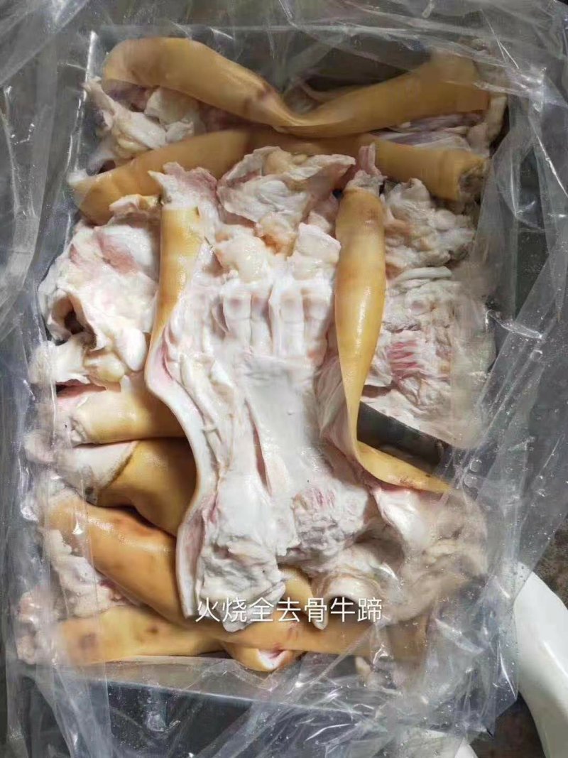 火烧去骨牛蹄，质量保证