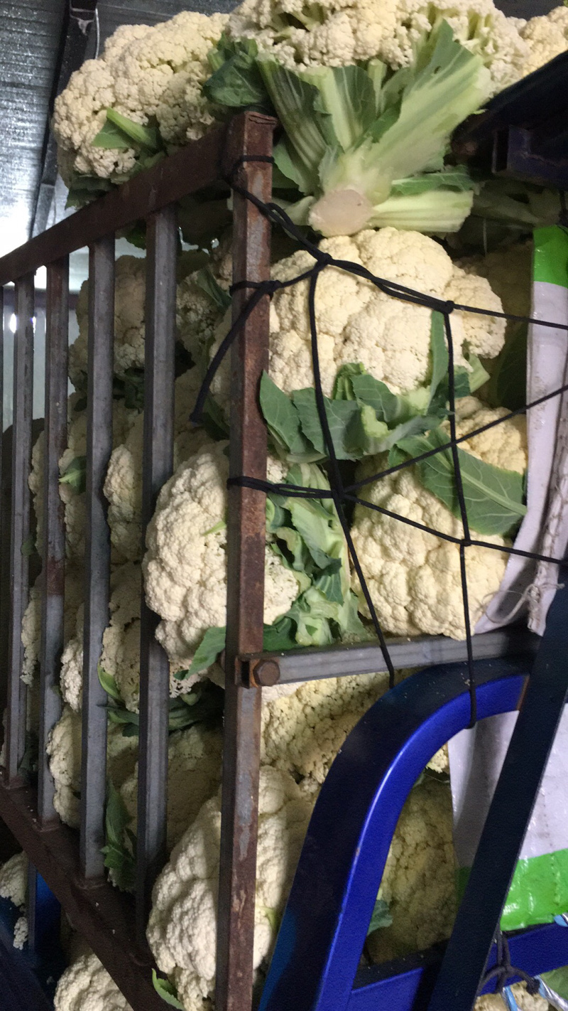 散花。青梗花菜