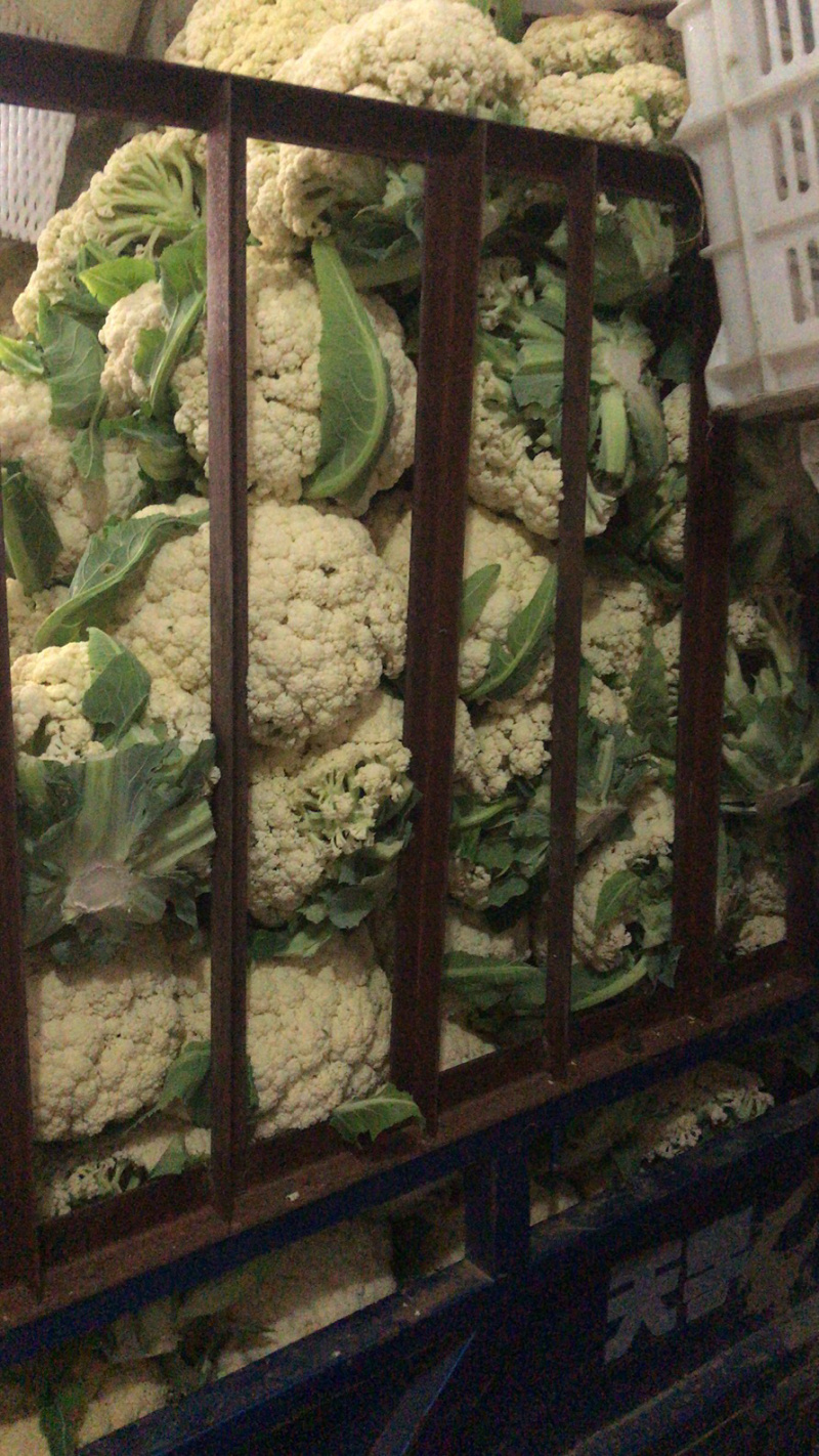 散花。青梗花菜