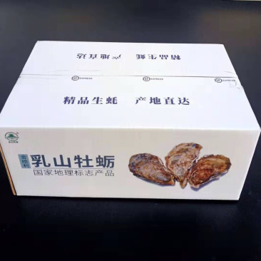 鲜活乳山生蚝1-2两5斤装