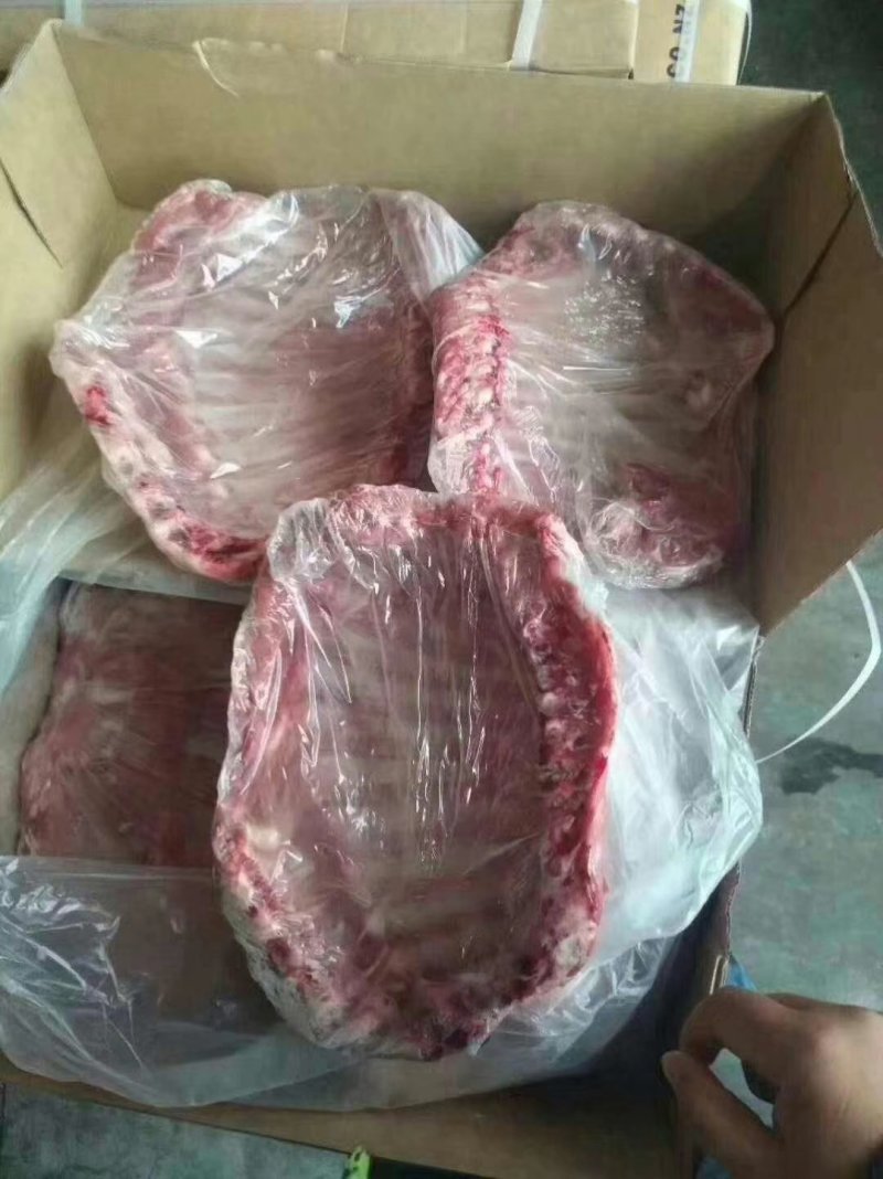 乳牛排