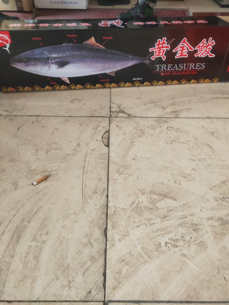 师鱼，黄金鲅，