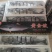 师鱼，黄金鲅，