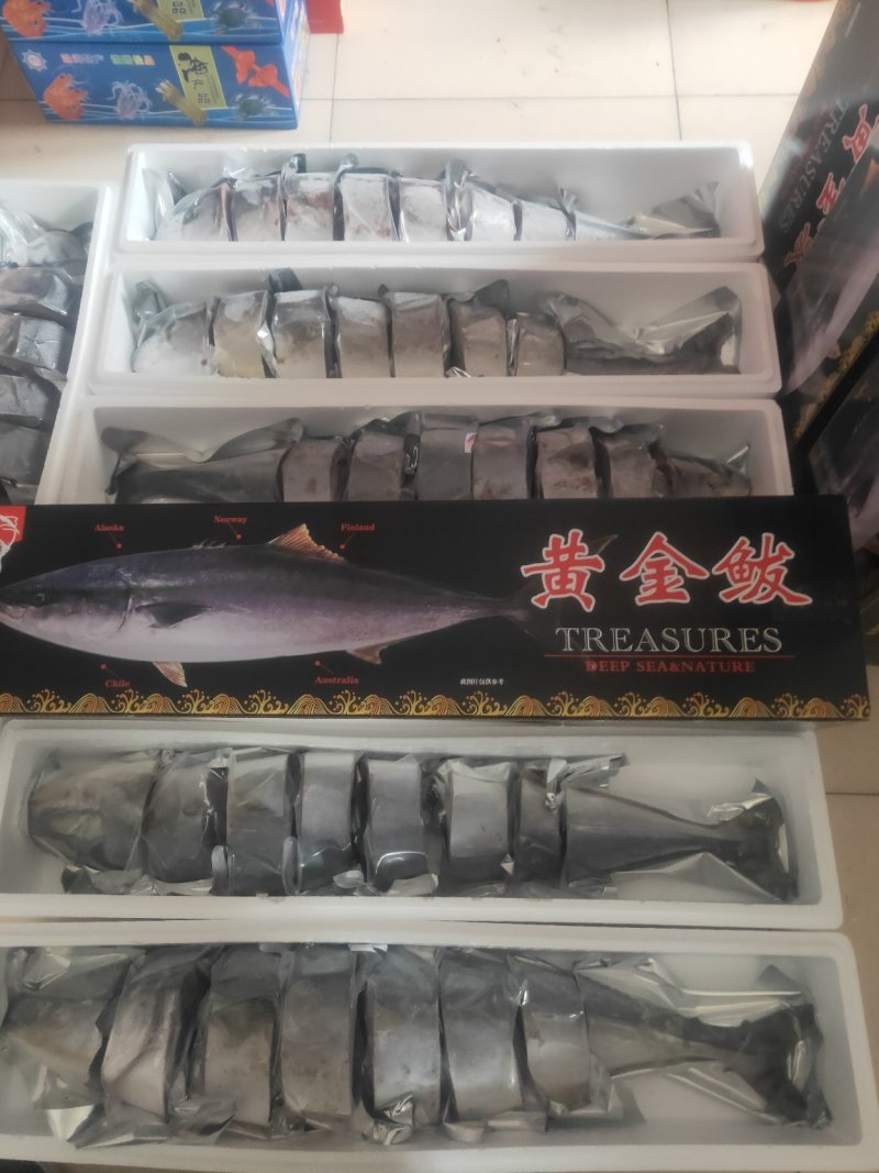 师鱼，黄金鲅，