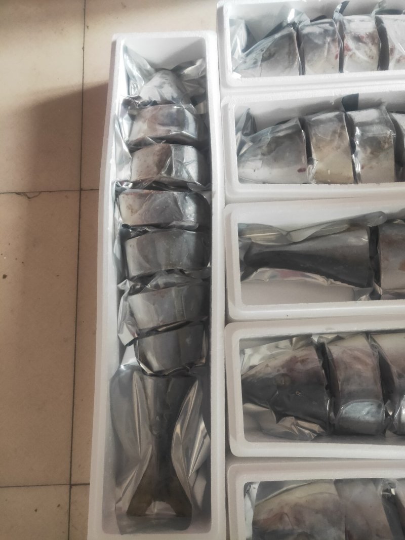 师鱼，黄金鲅，
