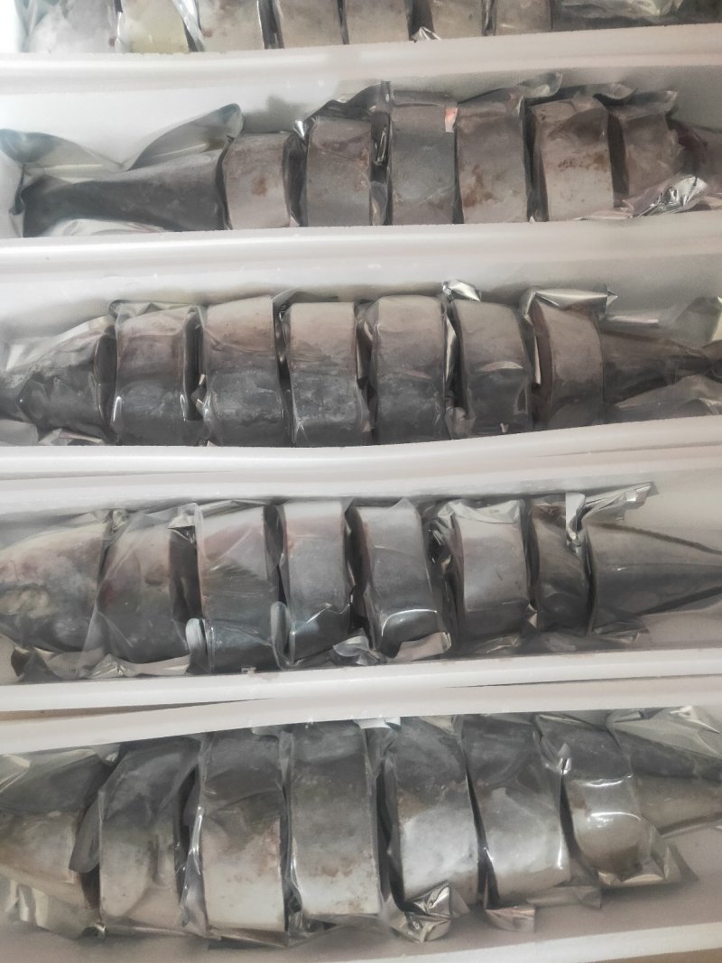 师鱼，黄金鲅，