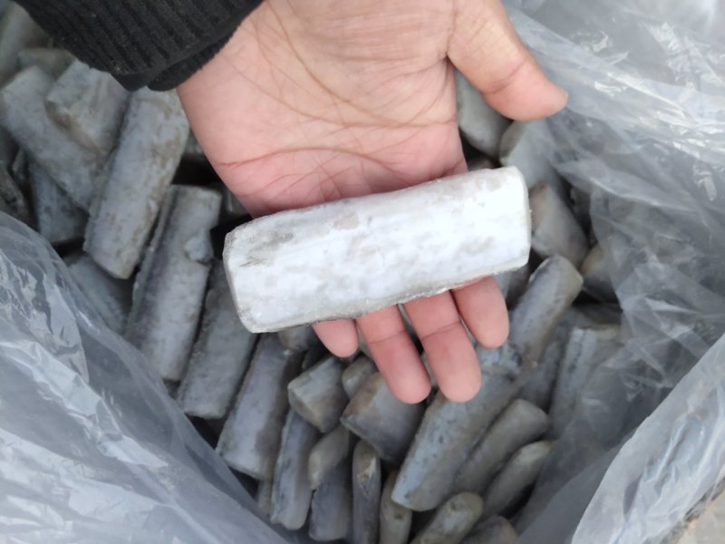 刀鱼断