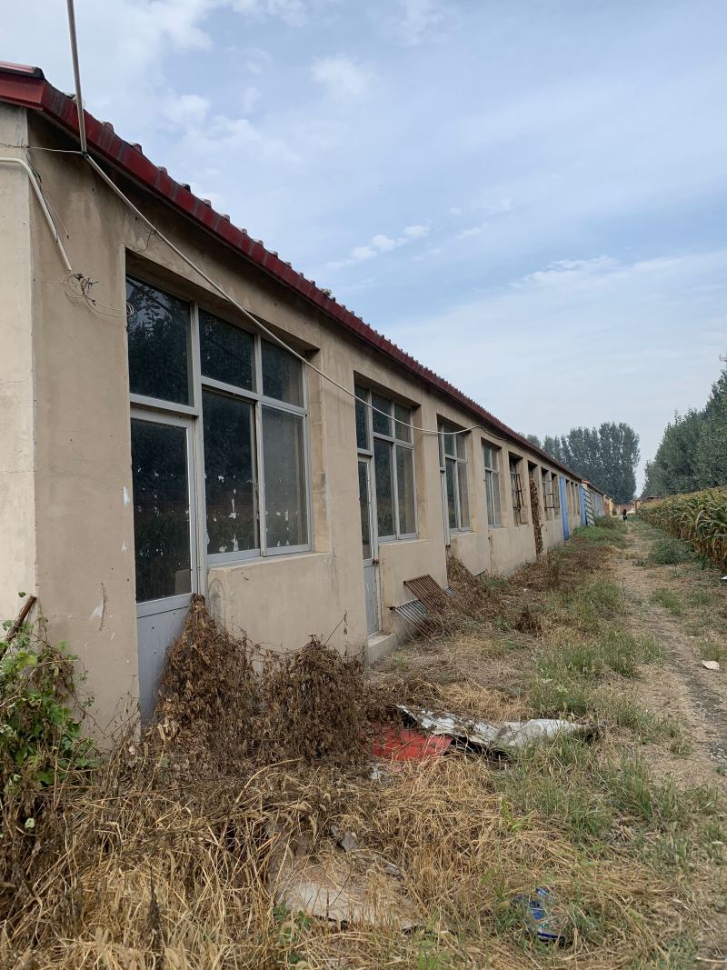 大型养殖场出租合作（一般农田）