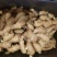 山东红芽鲜姜大量上市，大小黄姜货源充足，全国物流发货