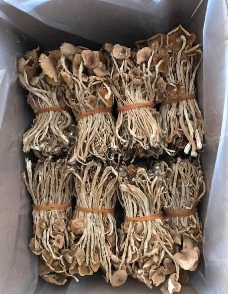 茶树菇开伞扎把，剪脚分拣年货一件代发包邮