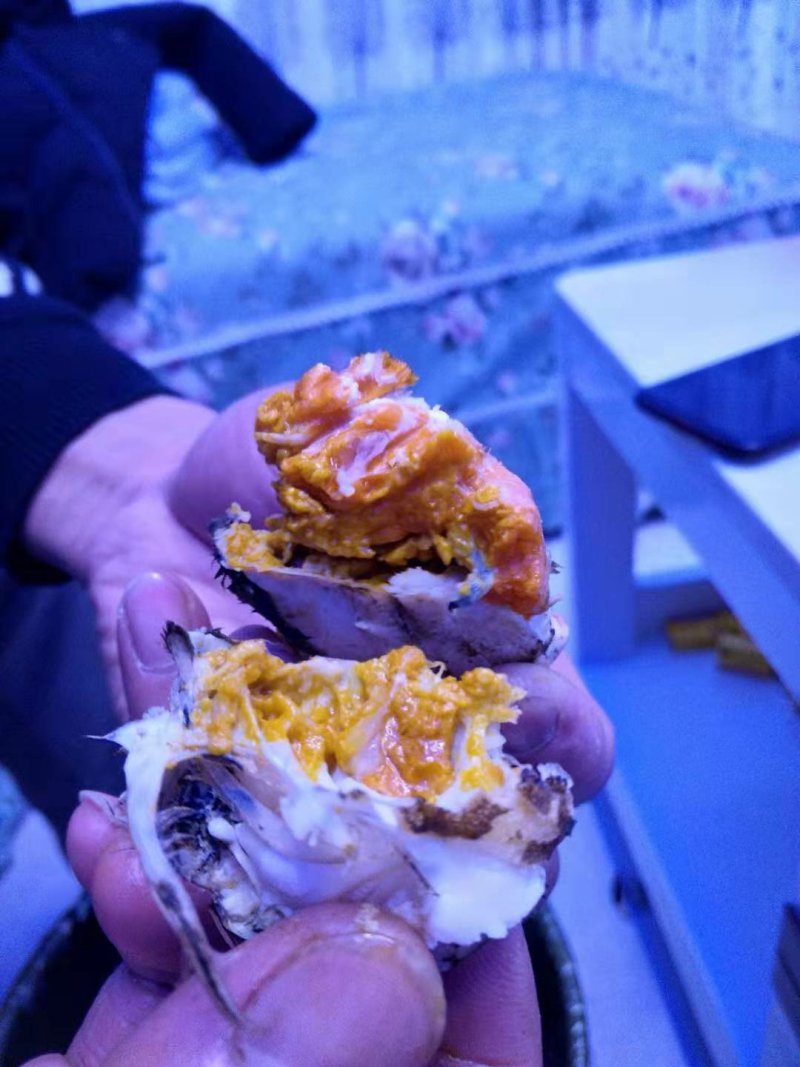 洪湖清水小龙虾大闸蟹，产地直发