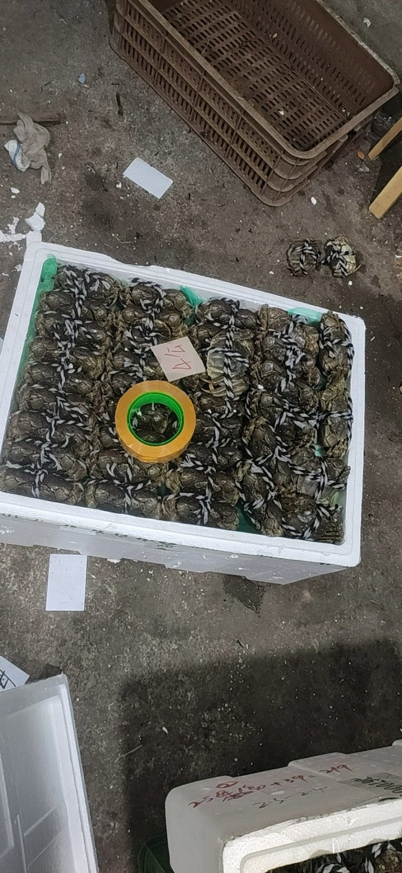 洪湖清水小龙虾大闸蟹，产地直发