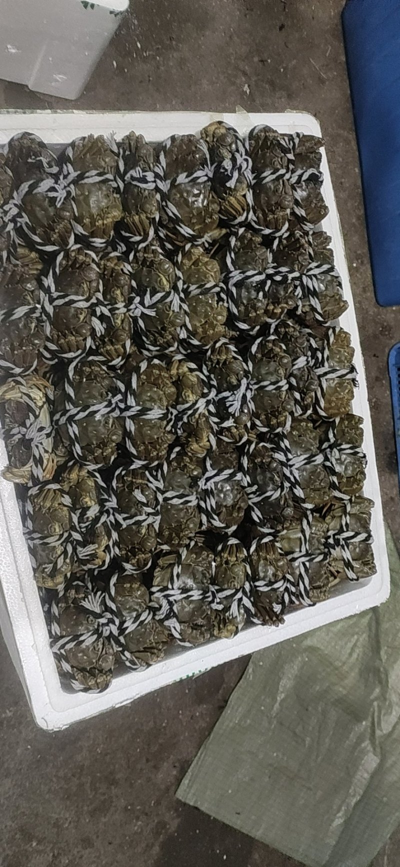 洪湖清水小龙虾大闸蟹，产地直发