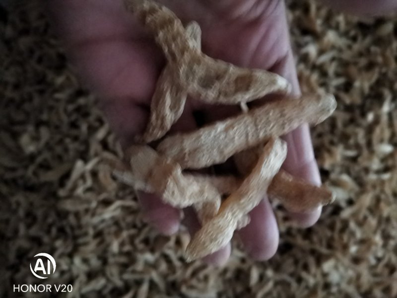 【产地批发】无硫小天麻，短支甜味，合作社自产自销，质优价