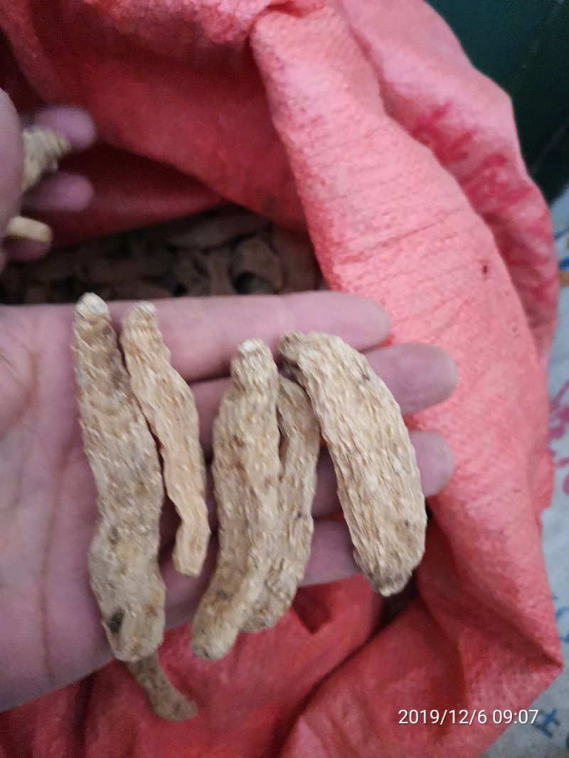 【产地批发】无硫小天麻，短支甜味，合作社自产自销，质优价