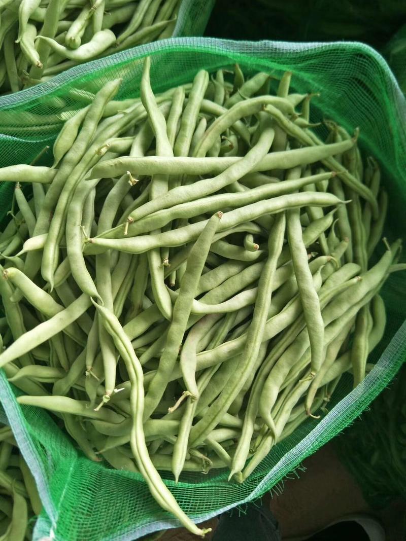 抚宁下庄四季豆，豇豆品质好质量优产地直销。